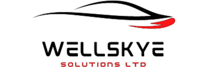 Wellskye Ltd Logo